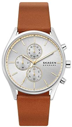 Skagen Men's Holst Stainless Steel Casual Quartz ...