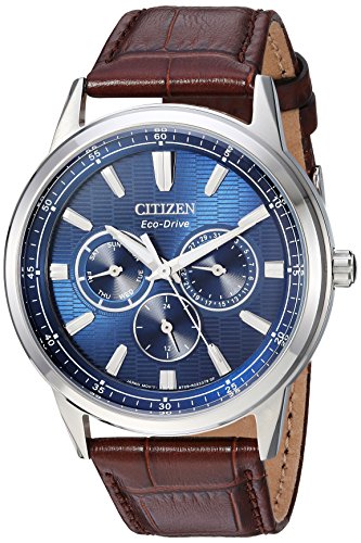 Citizen Men's Eco-Drive Stainless Steel Japanese-...