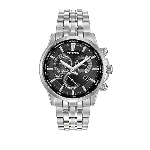 Citizen Men's Eco-Drive Perpetual Calendar Watch ...